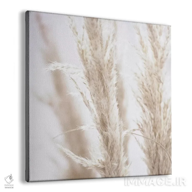 تابلو نی پامپاس I (مربع) اثر مونیکا استریگل - نمای پرسپکتیو محصول