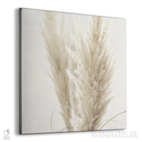 تابلو نی پامپاس II (مربع) اثر مونیکا استریگل - نمای پرسپکتیو محصول