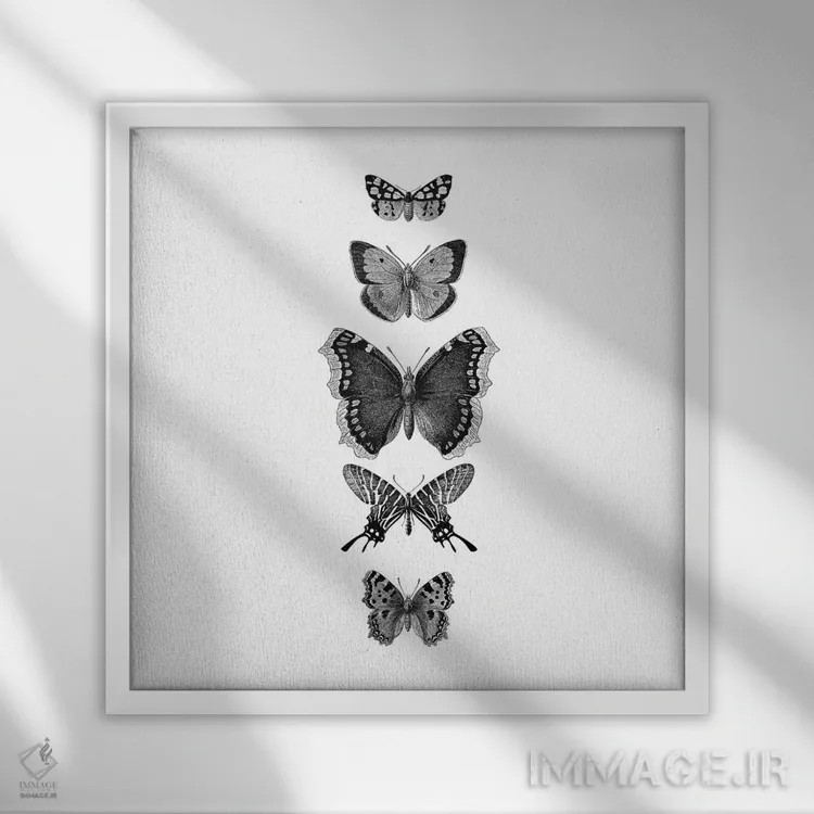 تابلو پروانههای نقاشی شده با جوهر (سیاه و سفید، مربع) اثر مونیکا استریگل - نمای قابدار سفید