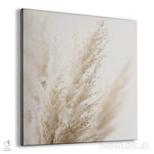 تابلو نی پامپاس III (مربع) اثر مونیکا استریگل - نمای پرسپکتیو محصول