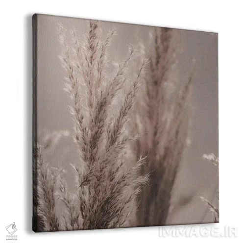 تابلو نی پامپاس VI (مربع) اثر مونیکا استریگل - نمای پرسپکتیو محصول