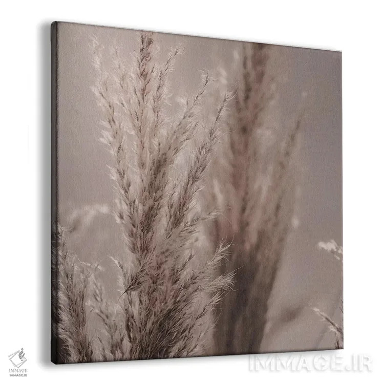تابلو نی پامپاس VI (مربع) اثر مونیکا استریگل - نمای پرسپکتیو محصول