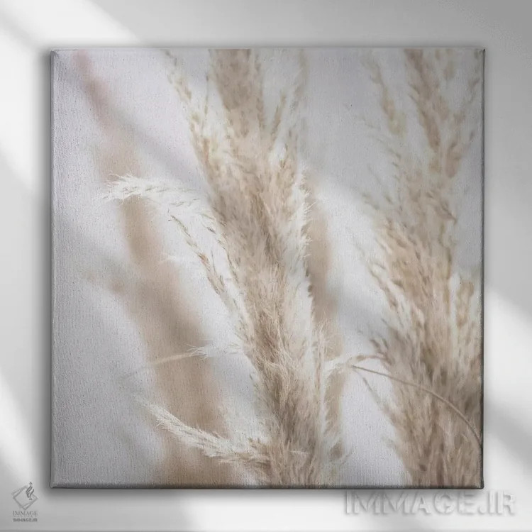 تابلو نی پامپاس I (مربع) اثر مونیکا استریگل - نمای روبهرو روی دیوار