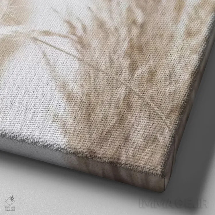 تابلو نی پامپاس I (مربع) اثر مونیکا استریگل - نمای نزدیک بافت بوم