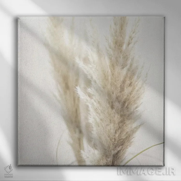 تابلو نی پامپاس II (مربع) اثر مونیکا استریگل - نمای روبهرو روی دیوار