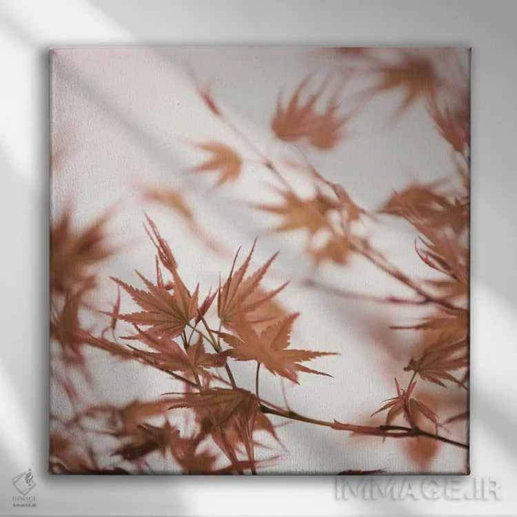 تابلو برگهای افرا I (مربع) اثر مونیکا استریگل - نمای روبهرو روی دیوار