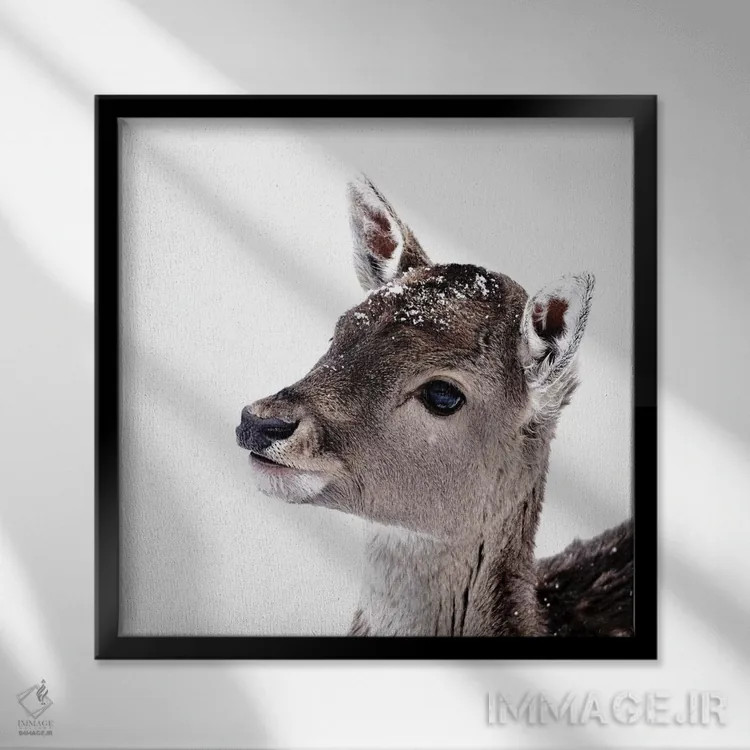 تابلو آهوچه فیونا II (مربع) اثر مونیکا استریگل - نمای قابدار مشکی