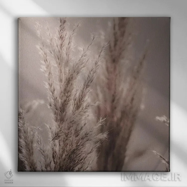 تابلو نی پامپاس VI (مربع) اثر مونیکا استریگل - نمای روبهرو روی دیوار