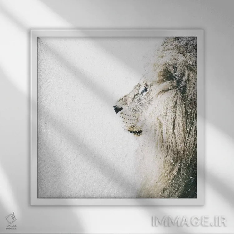 تابلو شیر در برف (مربع) اثر مونیکا استریگل - نمای قابدار سفید