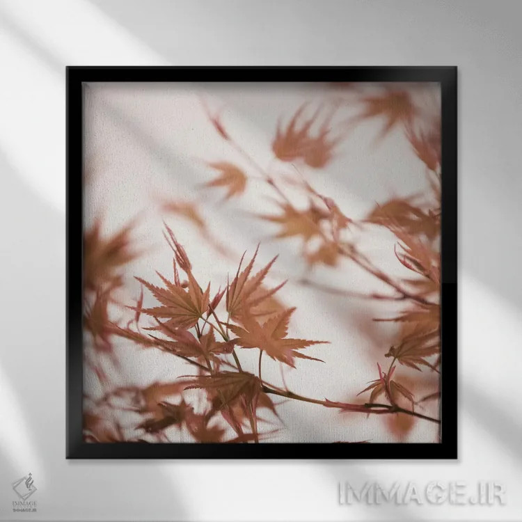 تابلو برگهای افرا I (مربع) اثر مونیکا استریگل - نمای قابدار مشکی