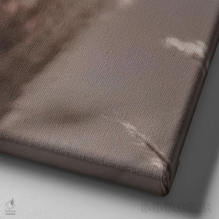 تابلو نی پامپاس VI (مربع) اثر مونیکا استریگل - نمای نزدیک بافت بوم