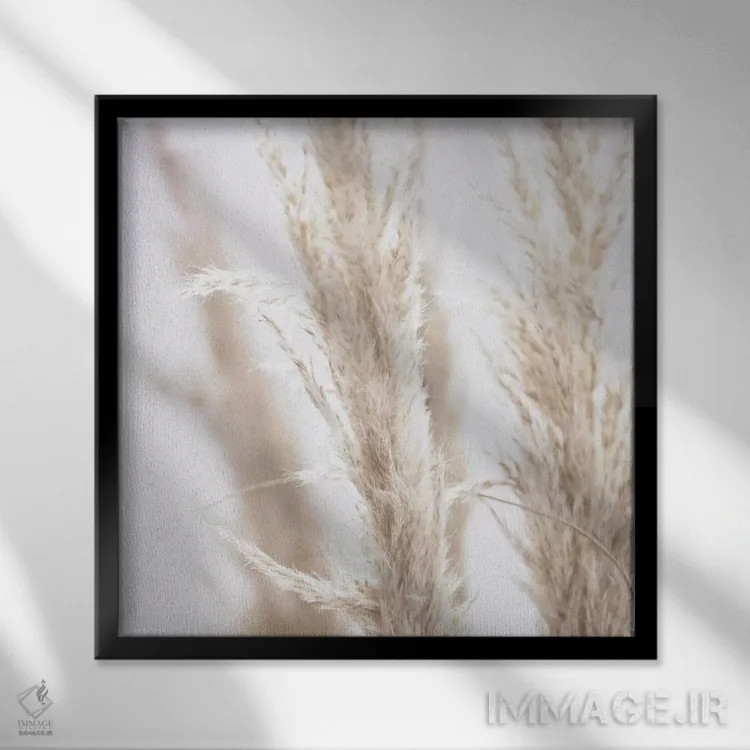 تابلو نی پامپاس I (مربع) اثر مونیکا استریگل - نمای قابدار مشکی