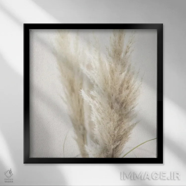 تابلو نی پامپاس II (مربع) اثر مونیکا استریگل - نمای قابدار مشکی