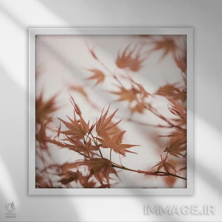 تابلو برگهای افرا I (مربع) اثر مونیکا استریگل - نمای قابدار سفید