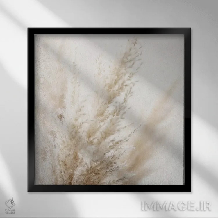 تابلو نی پامپاس III (مربع) اثر مونیکا استریگل - نمای قابدار مشکی