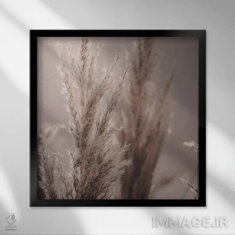 تابلو نی پامپاس VI (مربع) اثر مونیکا استریگل - نمای قابدار مشکی