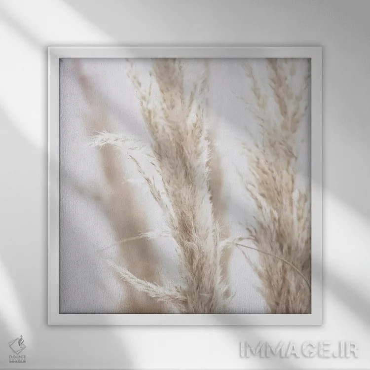 تابلو نی پامپاس I (مربع) اثر مونیکا استریگل - نمای قابدار سفید