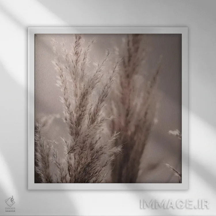 تابلو نی پامپاس VI (مربع) اثر مونیکا استریگل - نمای قابدار سفید