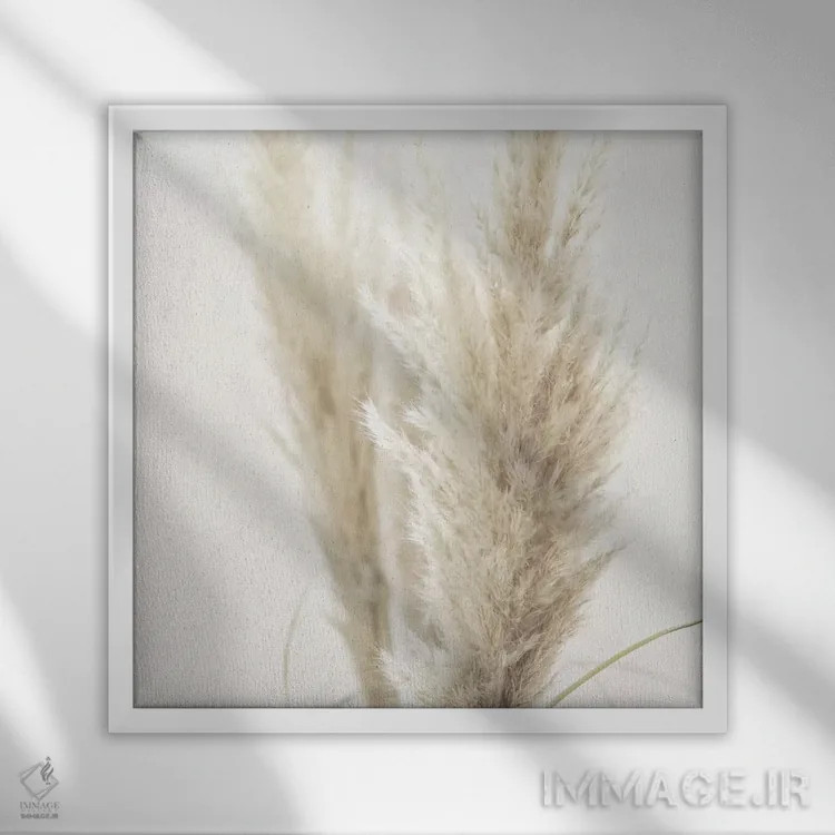 تابلو نی پامپاس II (مربع) اثر مونیکا استریگل - نمای قابدار سفید