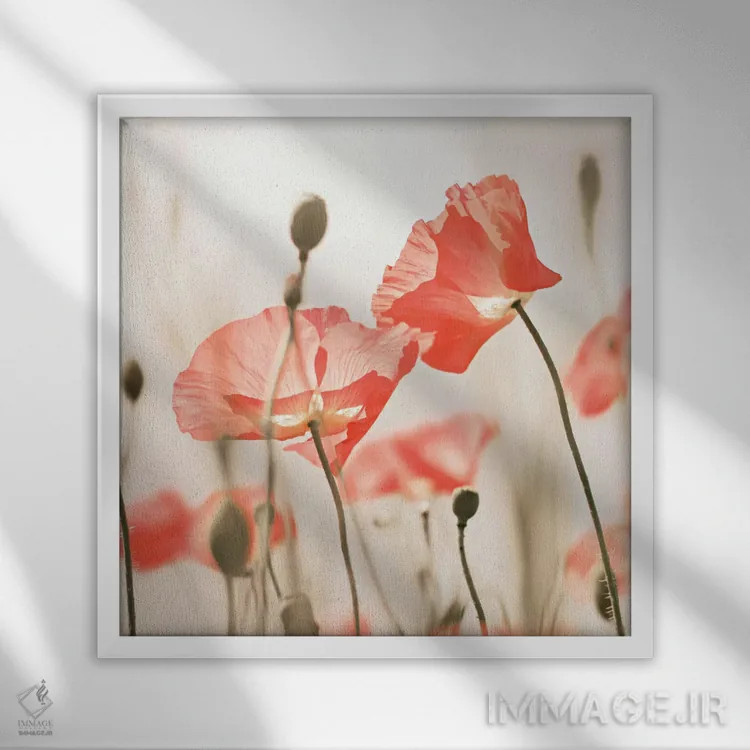 تابلو گلهای شقایق هلوئی (مربع) اثر مونیکا استریگل - نمای قابدار سفید