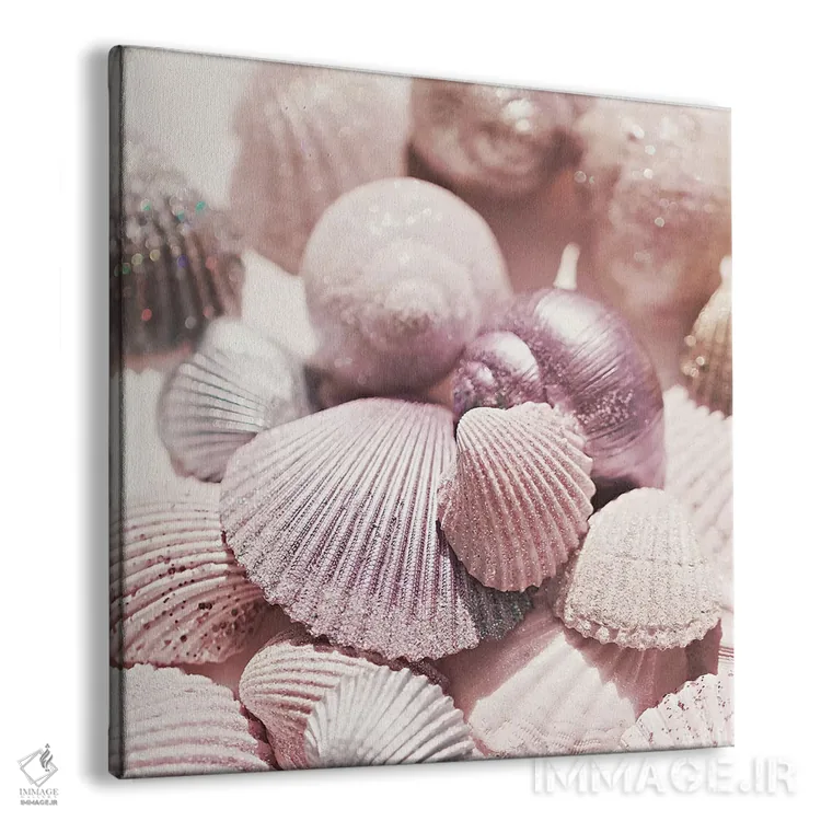 تابلو صدف و اکلیل (مربع) اثر مونیکا استریگل - نمای پرسپکتیو محصول