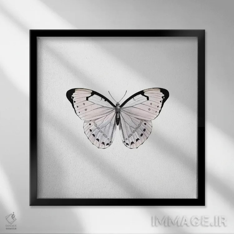 تابلو پاپیون رز (مربع) اثر مونیکا استریگل - نمای قابدار مشکی