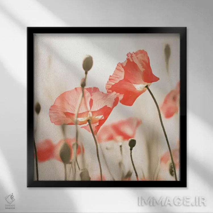 تابلو گلهای شقایق هلوئی (مربع) اثر مونیکا استریگل - نمای قابدار مشکی