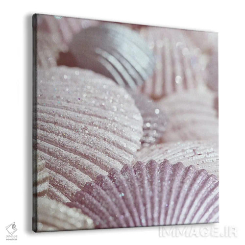 تابلو صدف و اکلیل II صورتی (مربع) اثر مونیکا استریگل - نمای پرسپکتیو محصول