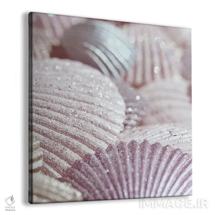تابلو صدف و اکلیل II صورتی (مربع) اثر مونیکا استریگل - نمای پرسپکتیو محصول