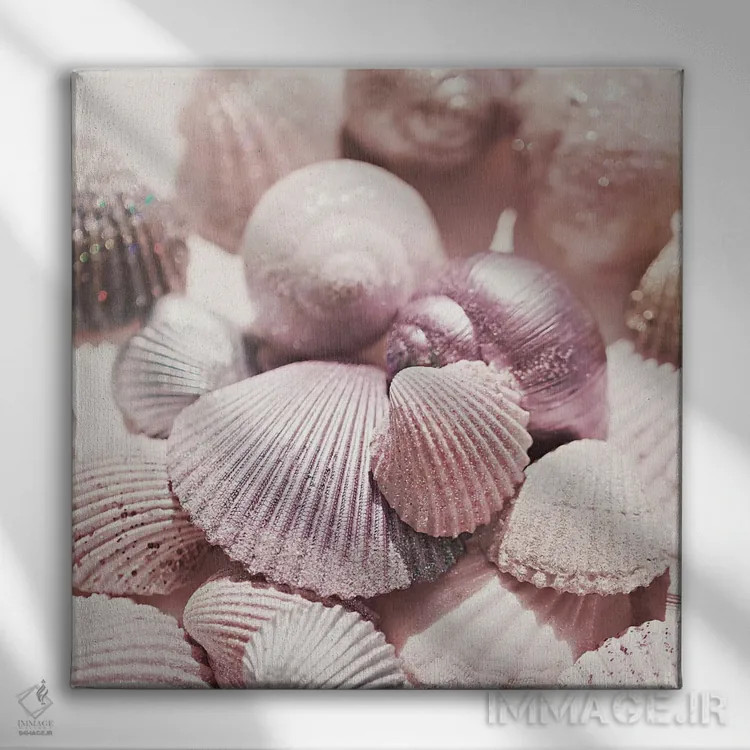 تابلو صدف و اکلیل (مربع) اثر مونیکا استریگل - نمای روبهرو روی دیوار