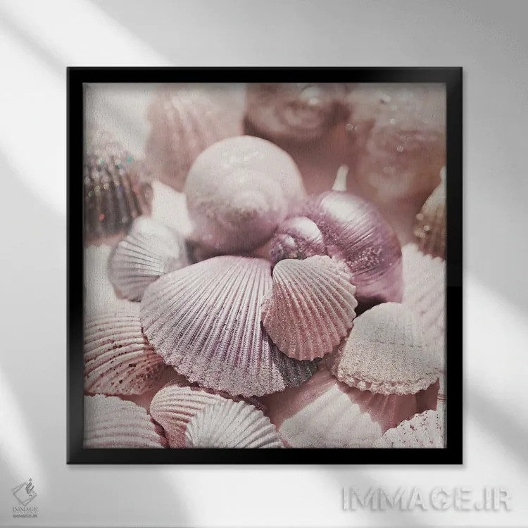 تابلو صدف و اکلیل (مربع) اثر مونیکا استریگل - نمای قابدار مشکی