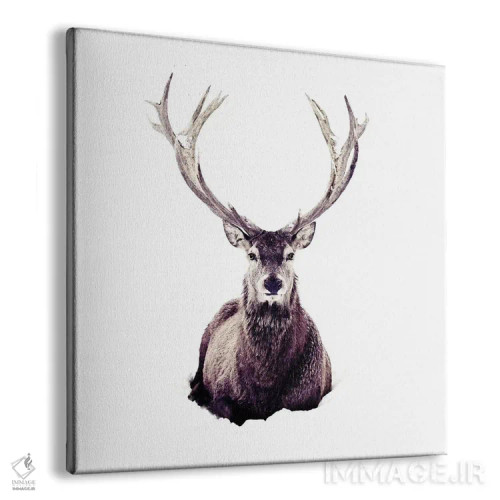 تابلو گوزن در برف III (مربع) اثر مونیکا استریگل - نمای پرسپکتیو محصول