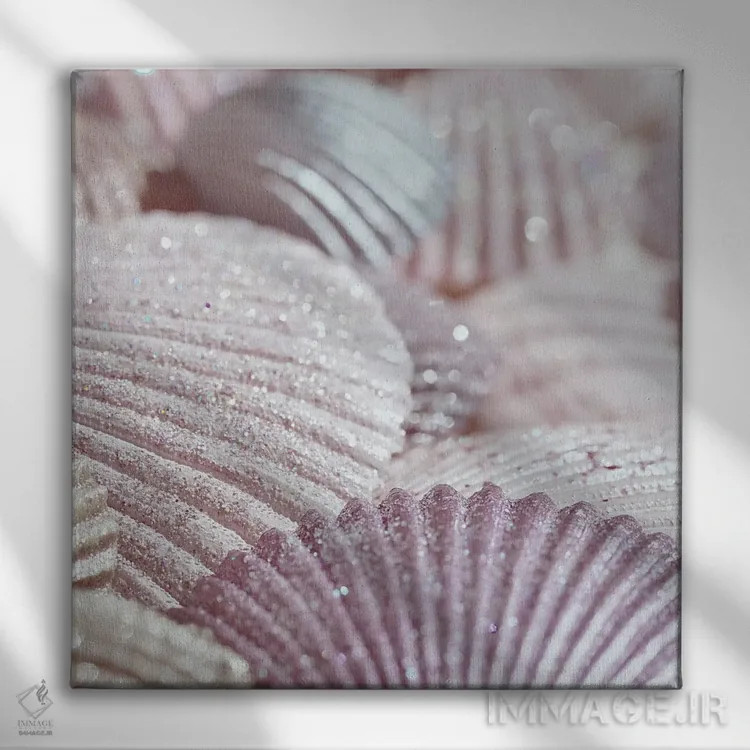 تابلو صدف و اکلیل II صورتی (مربع) اثر مونیکا استریگل - نمای روبهرو روی دیوار