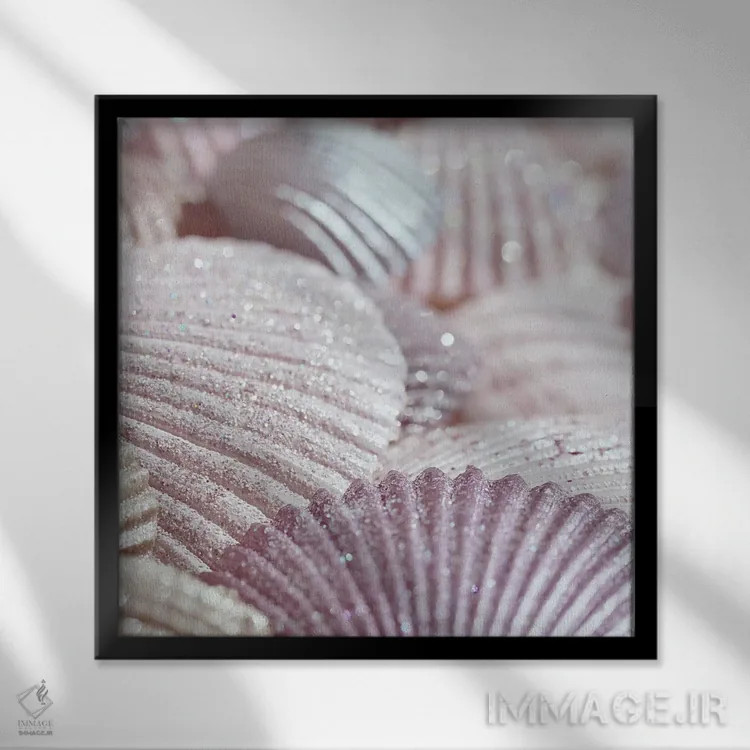 تابلو صدف و اکلیل II صورتی (مربع) اثر مونیکا استریگل - نمای قابدار مشکی