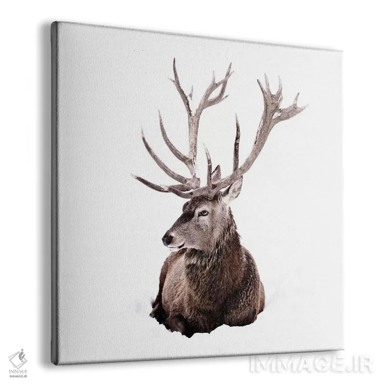 تابلو گوزن در برف II (مربع) اثر مونیکا استریگل - نمای پرسپکتیو محصول