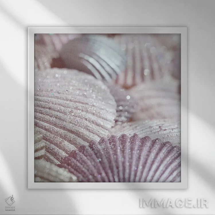 تابلو صدف و اکلیل II صورتی (مربع) اثر مونیکا استریگل - نمای قابدار سفید