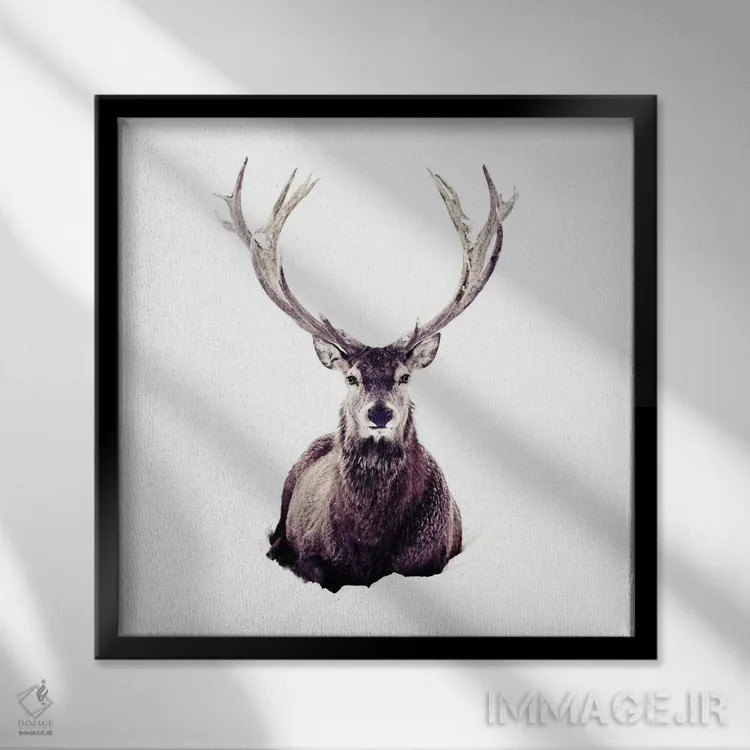 تابلو گوزن در برف III (مربع) اثر مونیکا استریگل - نمای قابدار مشکی