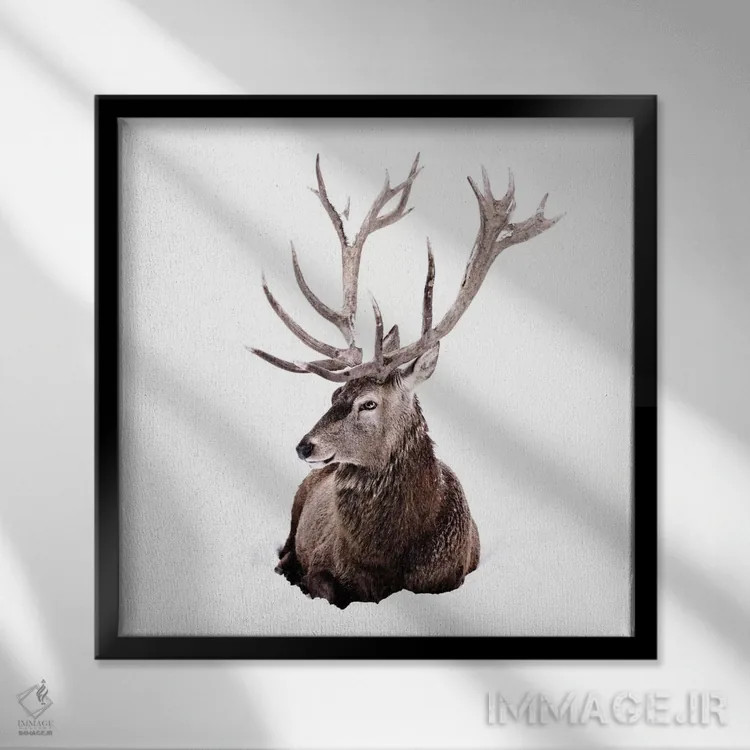 تابلو گوزن در برف II (مربع) اثر مونیکا استریگل - نمای قابدار مشکی