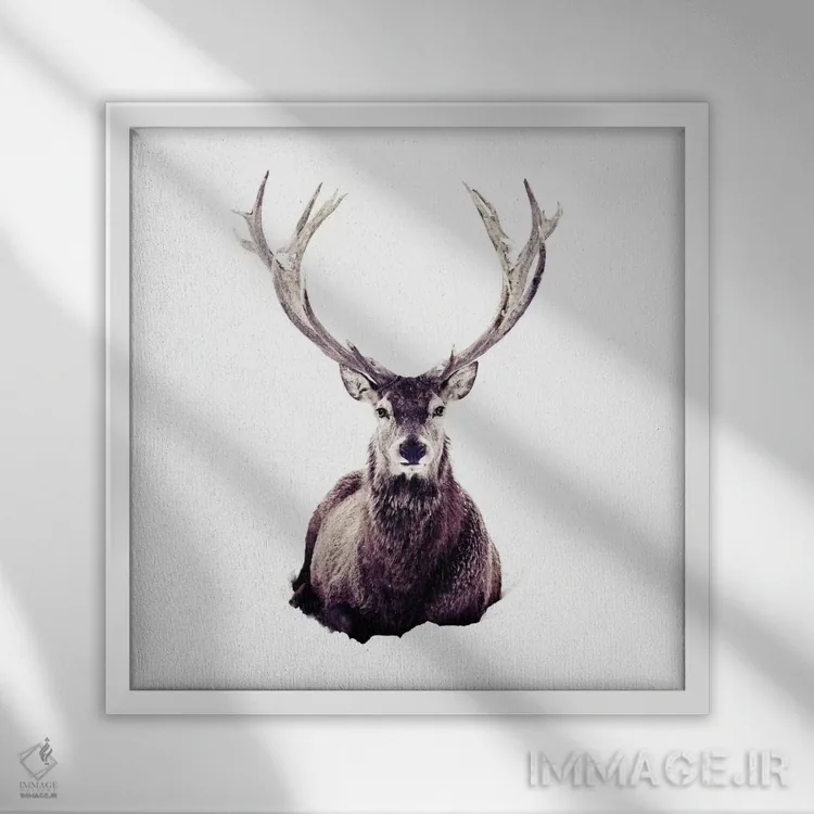 تابلو گوزن در برف III (مربع) اثر مونیکا استریگل - نمای قابدار سفید