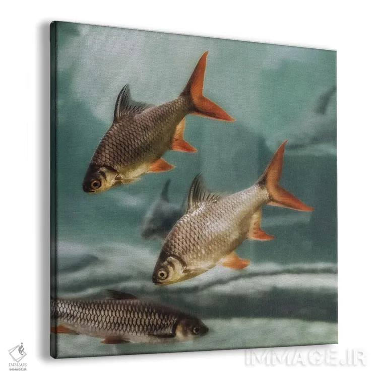 تابلو ازدحام II (مربع) اثر مونیکا استریگل - نمای پرسپکتیو محصول