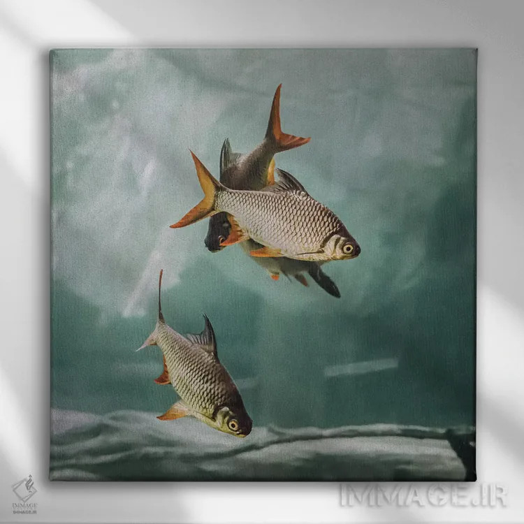 تابلو ازدحام I (مربع) اثر مونیکا استریگل - نمای روبهرو روی دیوار