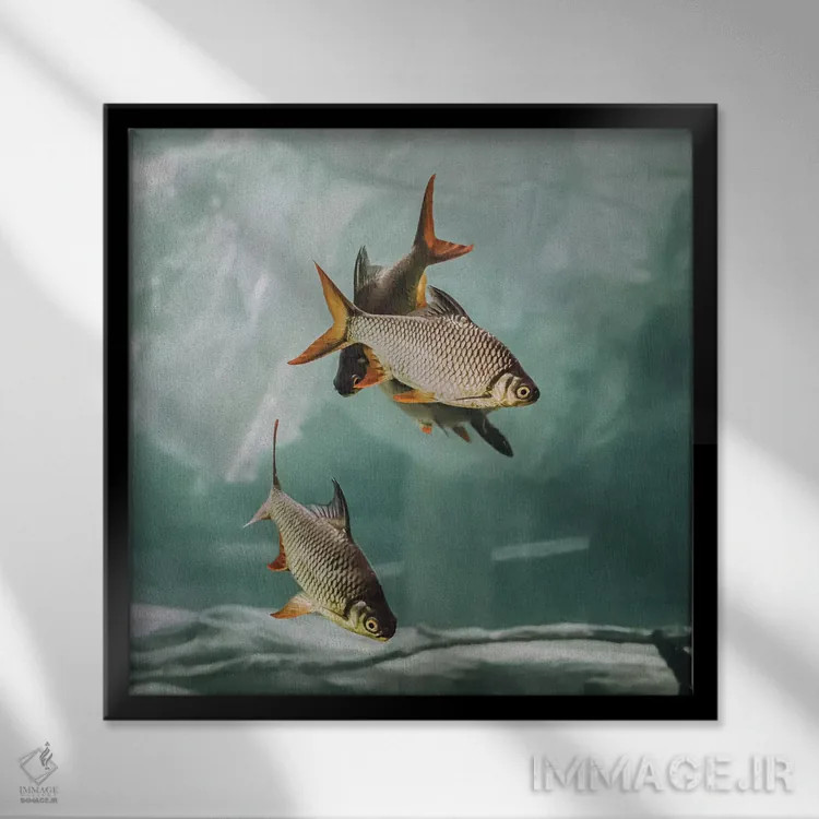 تابلو ازدحام I (مربع) اثر مونیکا استریگل - نمای قابدار مشکی