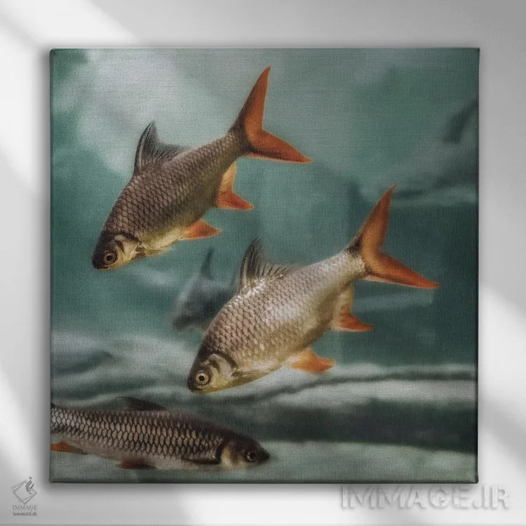 تابلو ازدحام II (مربع) اثر مونیکا استریگل - نمای روبهرو روی دیوار