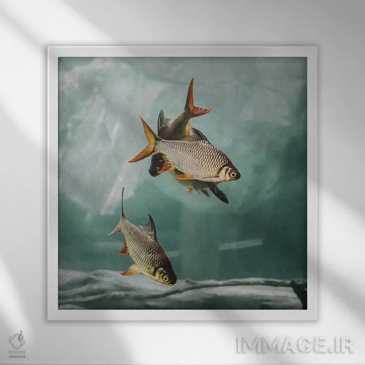 تابلو ازدحام I (مربع) اثر مونیکا استریگل - نمای قابدار سفید