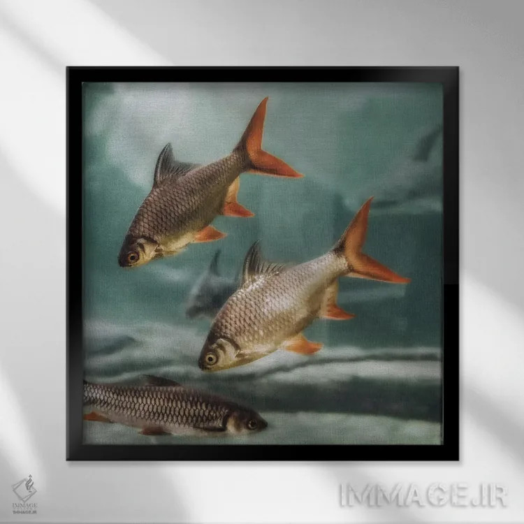 تابلو ازدحام II (مربع) اثر مونیکا استریگل - نمای قابدار مشکی