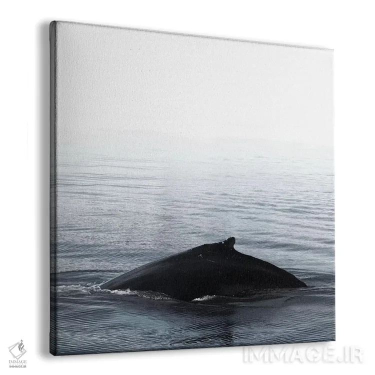 تابلو آواز نهنگ III آبی ایسلند (مربع) اثر مونیکا استریگل - نمای پرسپکتیو محصول