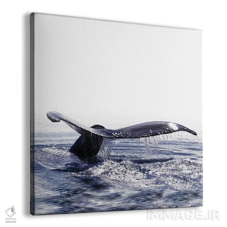 تابلو آواز نهنگ ایسلند I (مربع) اثر مونیکا استریگل - نمای پرسپکتیو محصول