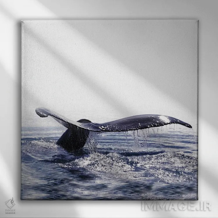 تابلو آواز نهنگ ایسلند I (مربع) اثر مونیکا استریگل - نمای روبهرو روی دیوار