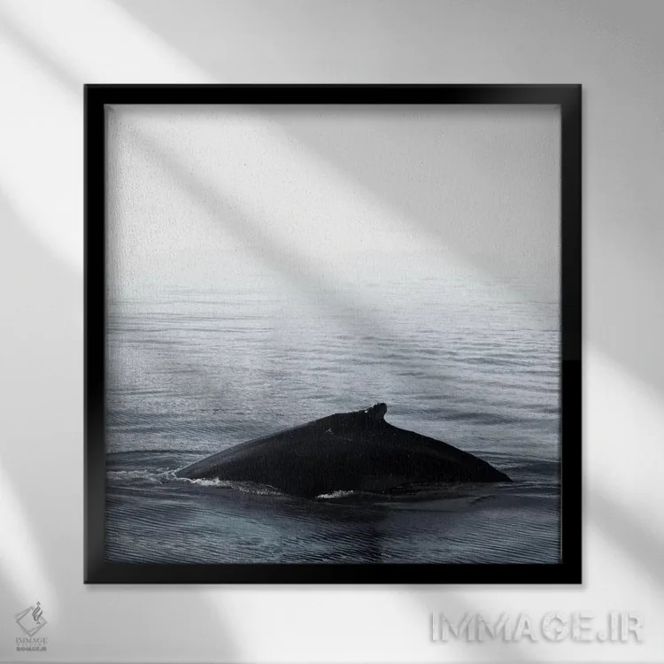 تابلو آواز نهنگ III آبی ایسلند (مربع) اثر مونیکا استریگل - نمای قابدار مشکی