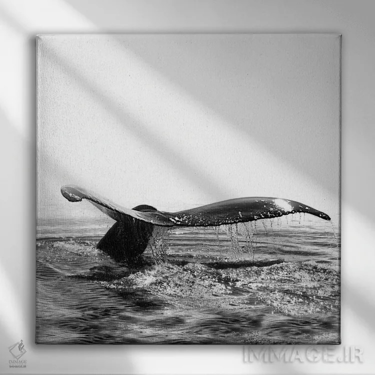 تابلو آواز نهنگ I ایسلند سیاه و سفید (مربع) اثر مونیکا استریگل - نمای روبهرو روی دیوار